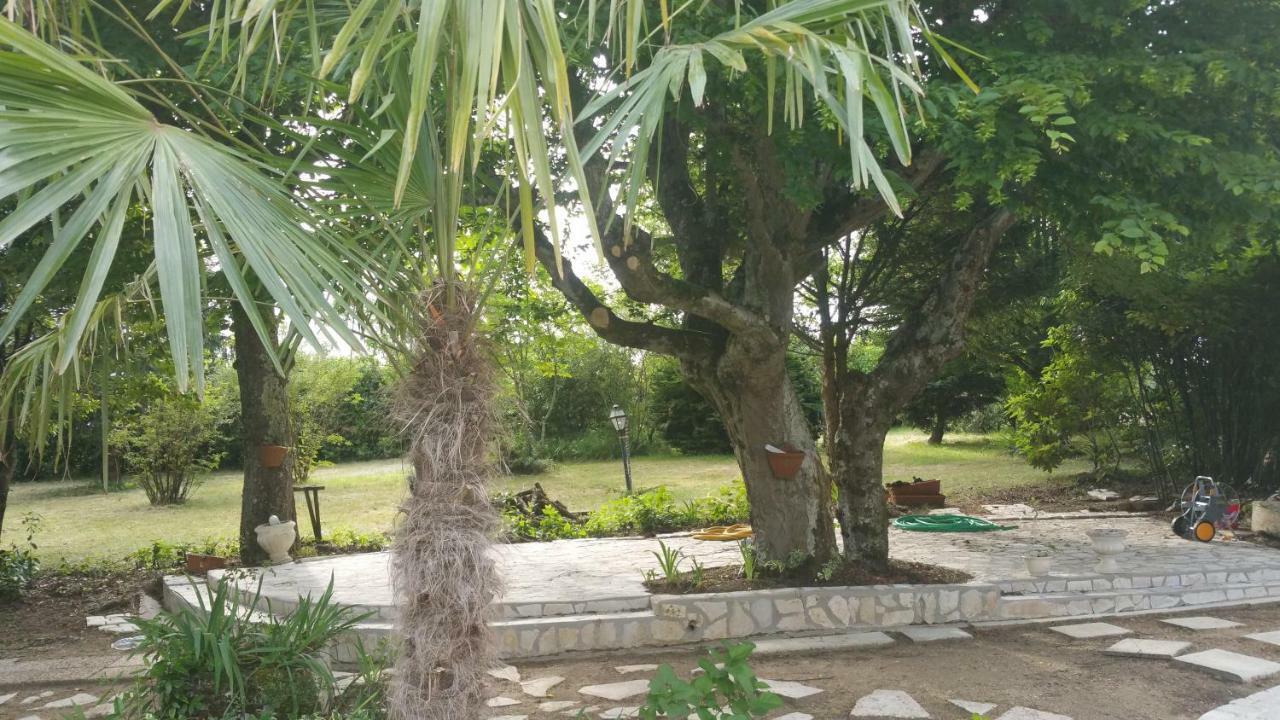 Le Domaine De Canesse Saint-Ciers-de-Canesse Εξωτερικό φωτογραφία